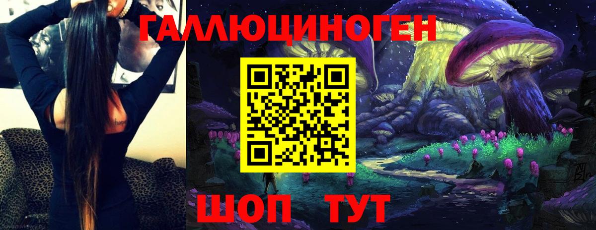 Свободный  Галлюциногенные грибы Magic Shrooms  Вход с VPN  Псилоцибиновые грибы GOLDEN TEACHER 
