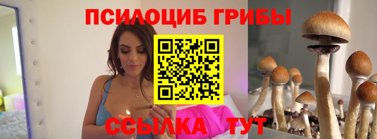 Галлюциногенные грибы MAGIC MUSHROOMS Свободный