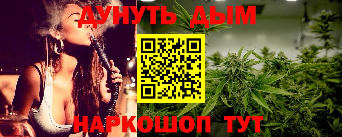 Бошки Шишки план  Каннабис SATIVA & INDICA  Свободный  Вход с VPN  Бошки Шишки план  Канабис Bruce Banner 